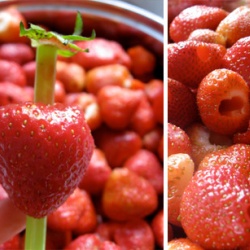 Enlever facilement les feuilles d'une fraise avec une paille